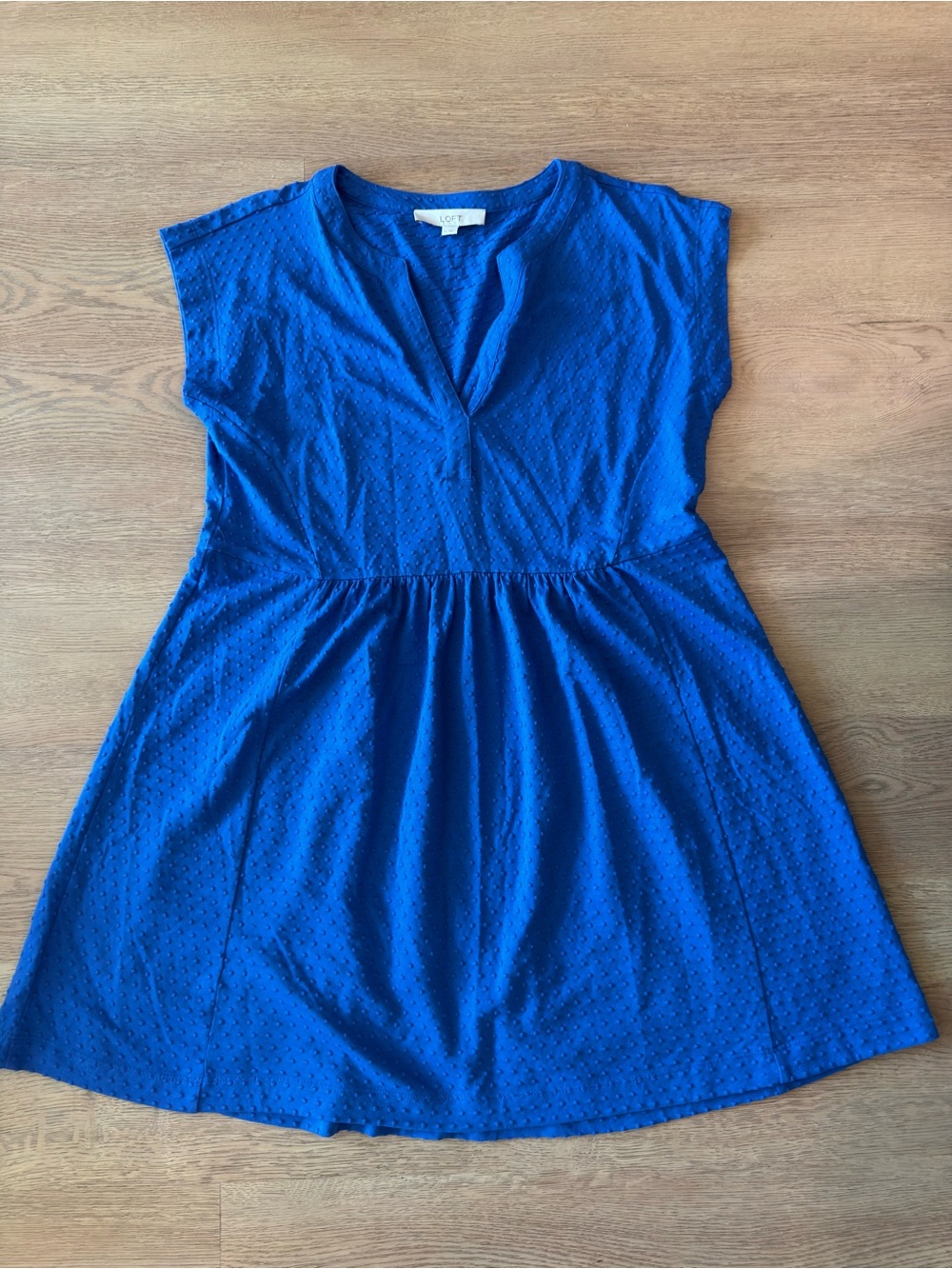 Women’s Blue LOFT Dress